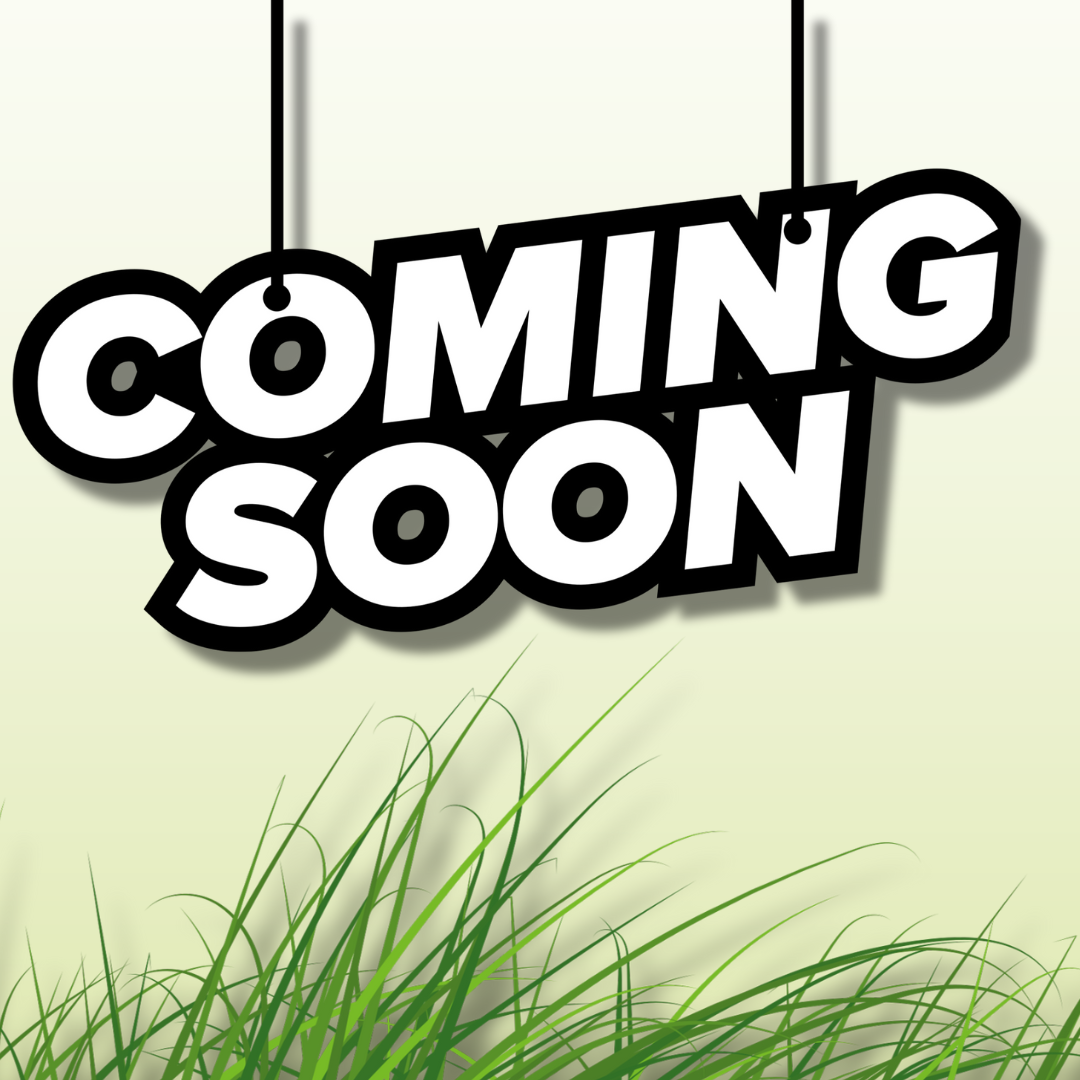 Coffret Prestige MatchArt